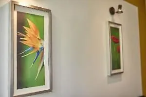 アパート オールド タウン アパートメンツ *
